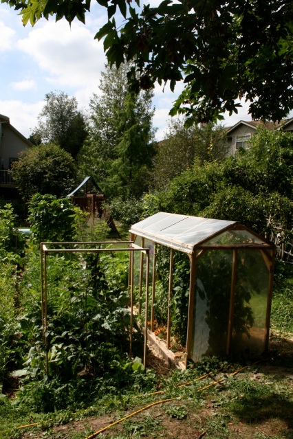Garden 2010